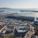 피자스쿨홍성상설시장점 | 제23회 홍성 남당항 새조개 축제 기본정보 새조개 샤부샤부 미식·체험형 겨울 바다 축제