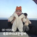 ㈜코스 | 강원도 여행코스 속초아이대관람차 속초프리패스 예약 가격 할인 주차정보 아이랑 여행후기