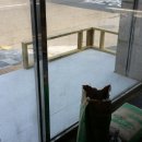 SM홀딩스 이미지