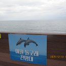 애월여정