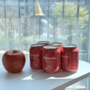 종로-신영-종로-영-240 | 브리보 프리바이오틱 애사비 소다 올리브영 탄산음료 구매 후기