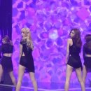 케이스텔라 이미지