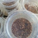 행복추어탕 이미지