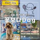 꽃보다 Dog 네이버블로그