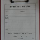 제주의 한란 이미지