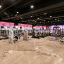 스파리스 이미지