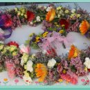 안동체육공원? 이미지