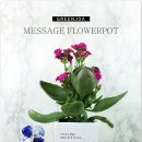 거기조아 이미지