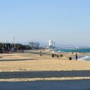 시거리식당 이미지