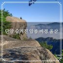 더비경 | 단양 숨겨진 암릉 비경 올산 미노리 원점회귀 등산코스