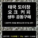 [커피생두 공동 구매]태국 도이창 요크 생두(Thailand doichaang Yokh coffee) 공동 구매 이미지