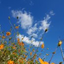 외촌경로당 이미지