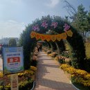 마산음악관 | 2023 마산국화축제 다녀온 후기