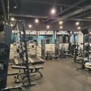 휘트니스 452 이미지