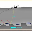 무늬오징어 선상에깅 테크닉 이미지