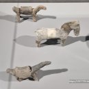 대구가톨릭대학교 박물관 이미지