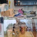 맥금동까페 이미지