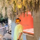지미지니팍온천천점 | 온천천 카페 :: 지미지니팍 마카롱, 스콘가게 후기남긴다