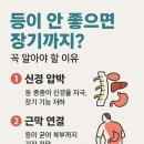 다나에스테틱