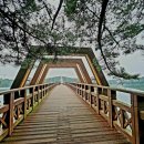 호수행정사 사무소 이미지