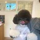 홍글몽글 이미지