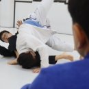 우리주짓수 네이버블로그