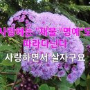 📹대한 군사 뉴스! 11월 22일 04:00 역사상 가장 강력한 전투 유닛이 공개됩니다﻿ 우크라이나는 러시아의 반발로 패배했다 이미지