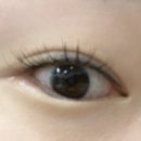 오아시스안경위드렌즈 창원상남점 이미지