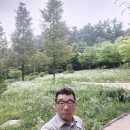 버들냉면