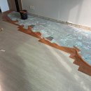 골든워시 이미지