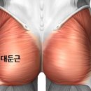 몬스터재활운동센터 네이버블로그