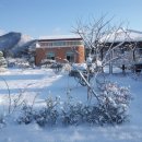 푸른별어린이집 이미지