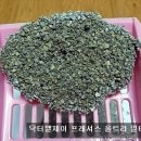 [닥터. 엘제이 프레셔스 울트라 멀티캣] 이벤트 후기