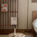 덕스테이 이미지