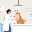 내성동물병원 이미지