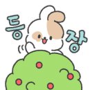 둔촌돼지집
