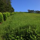 정유재란순절묘역 이미지