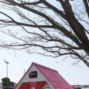 꽃지 화이트 펜션 이미지