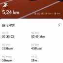 파텔라 | 나이키 무릎 밴드 : 파텔라 밴드 3.0 사용 후기 / 사이즈