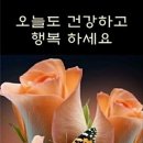 행복연장전 이미지