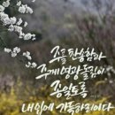 에벤에셀 이미지