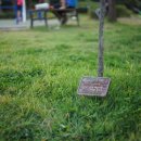 한울빛도서관 이미지