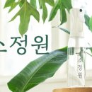 소소정원