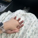 NR-5[영서로]-하-77 | [당일치기 춘천여행] 낭만적인 풍경과 그 속의 우리를 기억하며