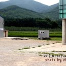 죽장면 참느리 이미지