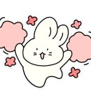 둘리애견 이미지