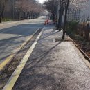 중앙동251 이미지