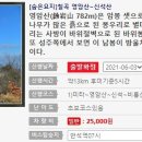 금강투어