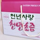 강인건강원 | 천년사랑 천년초 열매즙 후기, 진한 천년초 엑기스 최고에요