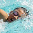 수영통상 이미지